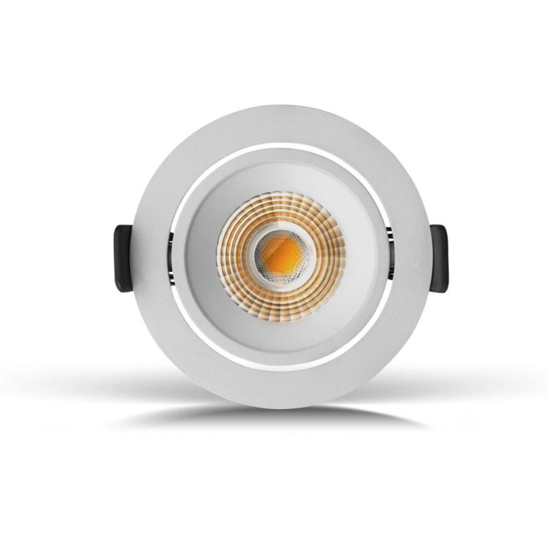 R6962 Modern Style Cobled 6W/10W/15W Available LED Spotlight