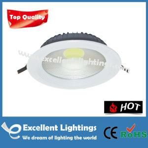 Etd-1103005 LED Ceiling Down Light Best Choice