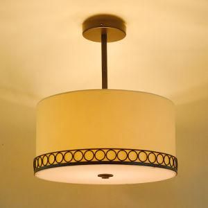 Round Art Mount Gold pendant Lamps for Home Hotel