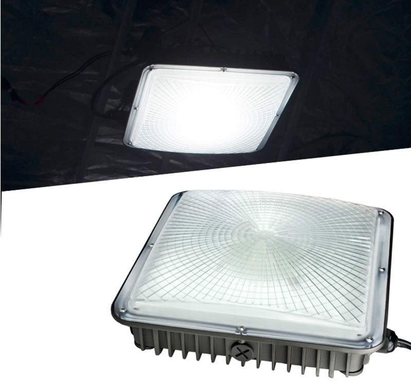 60W 80W 100W LED Canopy Light for Gas Station Stadium Metro Station Supermarket Lighting