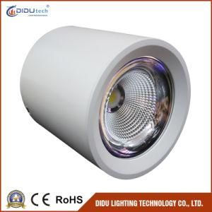 High Power Ceiling LED Downlight with 40W