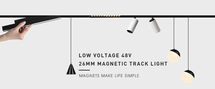 6W 12W LED Linear SMD Downlight 48V Magnetic Track Light