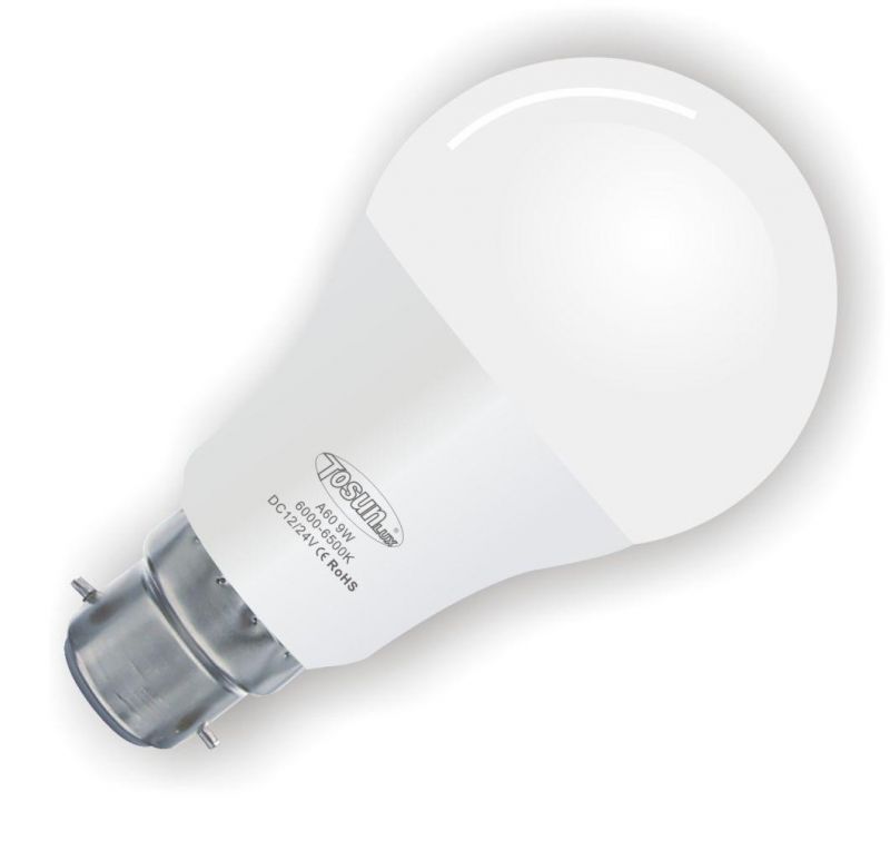 G45 A60 A70 A80 LED Light Bulb with CE RoHS