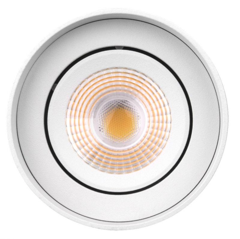 Manufacturer Ceiling LED Down Light Surface-Mounted Downlight