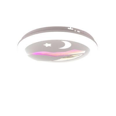 Dafangzhou 150W Light Light Iron China Supplier Nickel Flush Mount Ceiling Light IP33 Rating Round Ceiling Lamp Applied in Kitchen