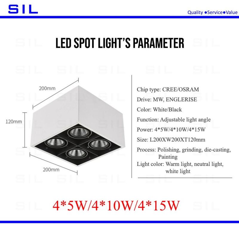 Ceiling Recessed Commercial Downlight Square 2X15W Spotlight LED Spot Light