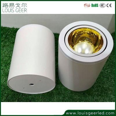 LED Light Bulb 15W Suspending Recessed Surface Mounted Installation LED Light for Residential