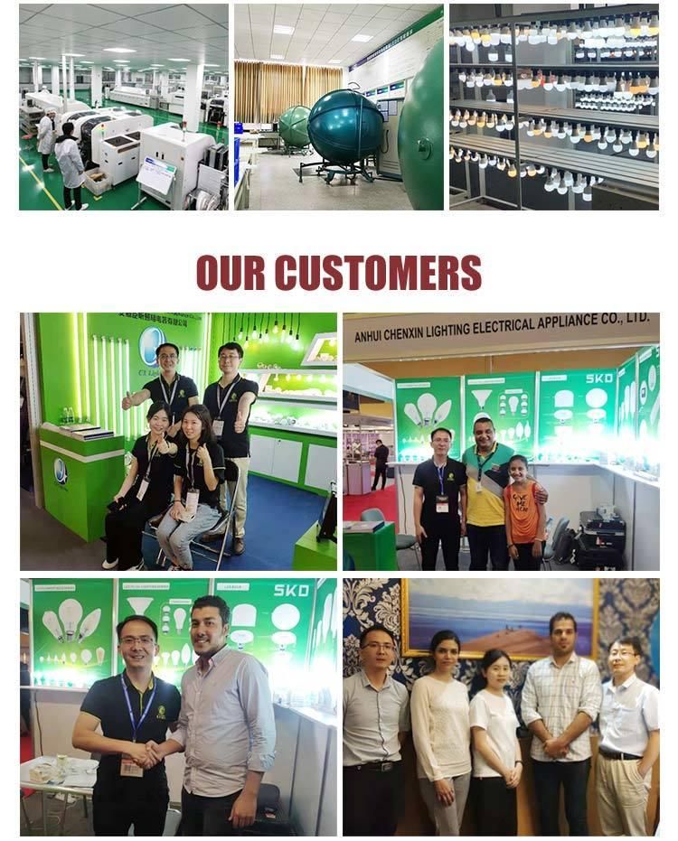 Cx-Lighting Brand New Anti-Glare 24W COB Downlight with AC85~265V