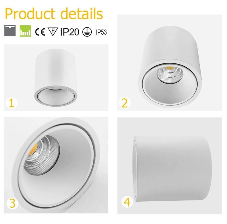 Modern Hotel Indoor 10W 12W 15W Antiglare Surface Mounted Ceilinglight