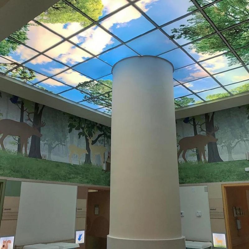 Blue Sky Panel Light 595*595mm for Nursing Home