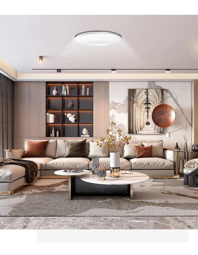 New Indoor IP65 LED Ceiling Lamp Nordic WiFi Ceiling Light