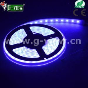 2015 IP68 Waterproof 5050SMD 300 LEDs 5m Roll LED Strip Light