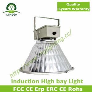 80W~250W Induction Industrial Light with 5 Years Warranty