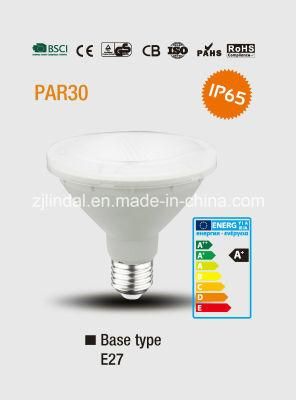 PAR30 Waterproof LED Bulb