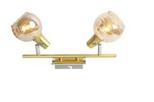 2*E14 Max 40W Glass Lamp Shade Iron Gold Adjustable Spotlight with Slim Tube