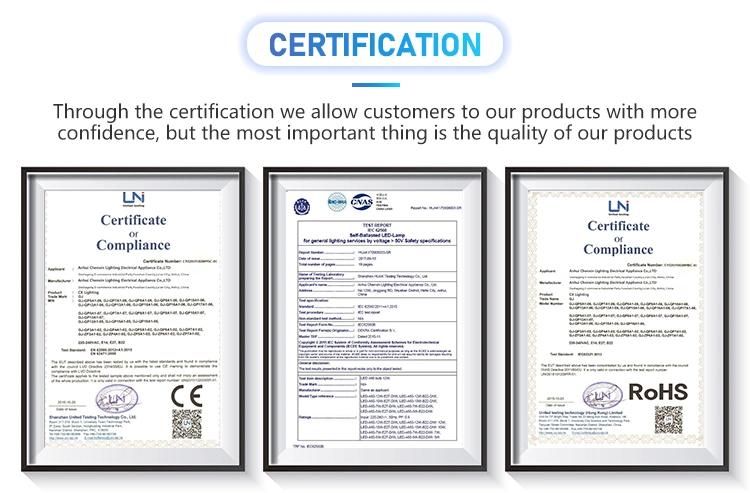Supply OEM China Factory LED Downlight with Good Production Line