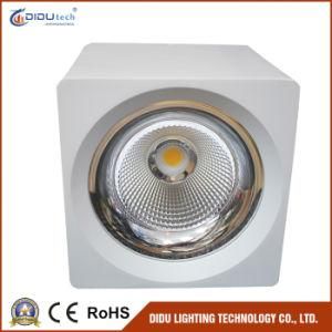 LED No Dimmable Ceiling Light Epistar COB with 20W