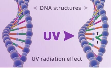 UVC LED Module Uvgi LED System UV Sterilization Ultraviolet Light