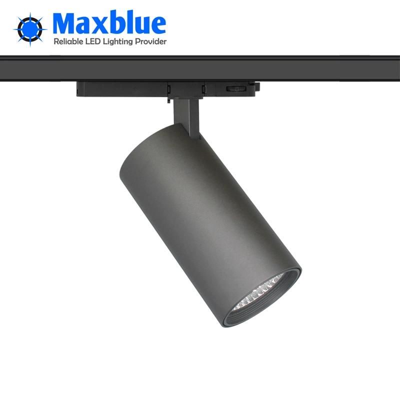 30W Track Light with Meanwell Driver for Store Lighting