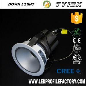Small Order Acceptted 10W Wwww Xxx COM LED Down Light LED Downlight Price Downlight Part