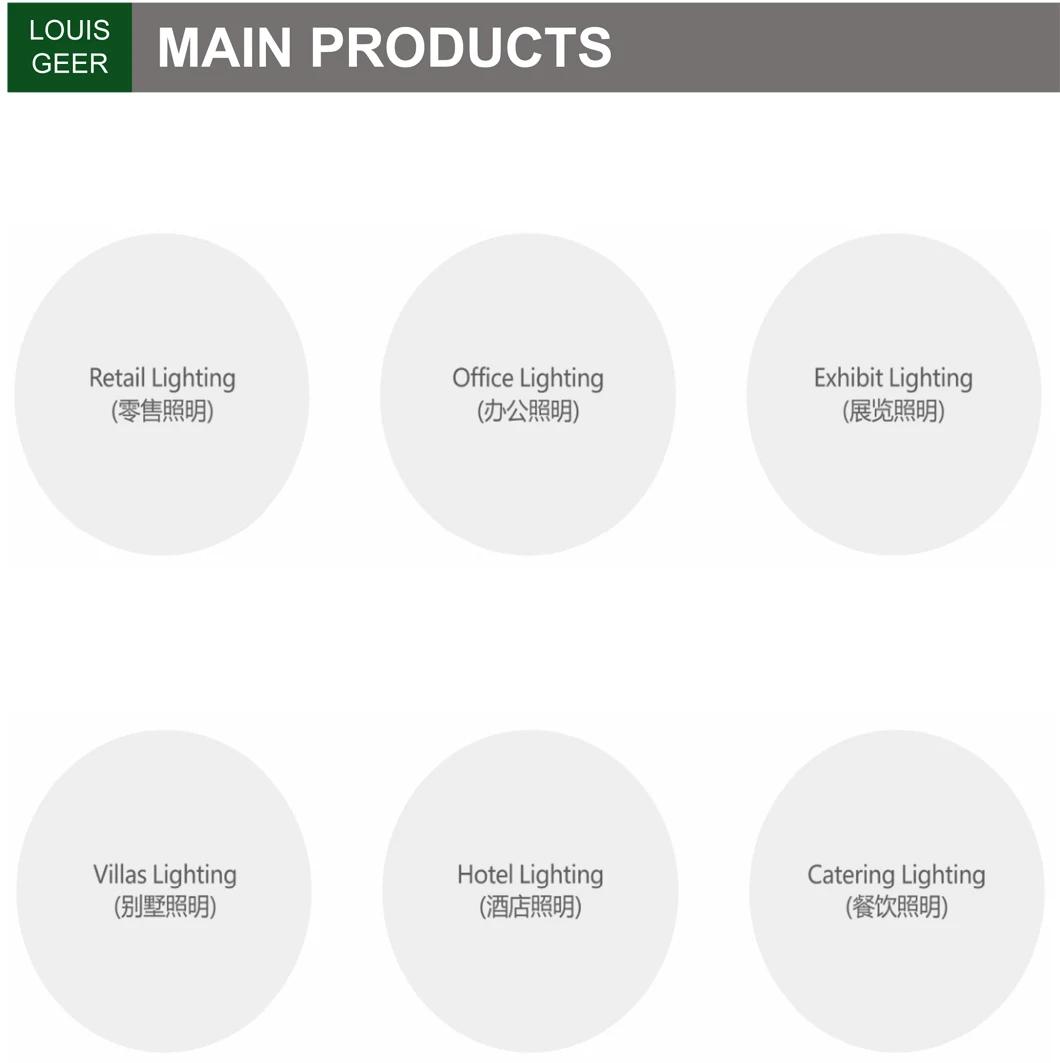 Wholesale Price Integrated Fire Rated Embedded Surface LED Downlight 35W Energy Saving Bulbs