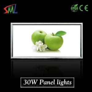 30W High Lumen Panellight Non Flicker High Cost-Effective