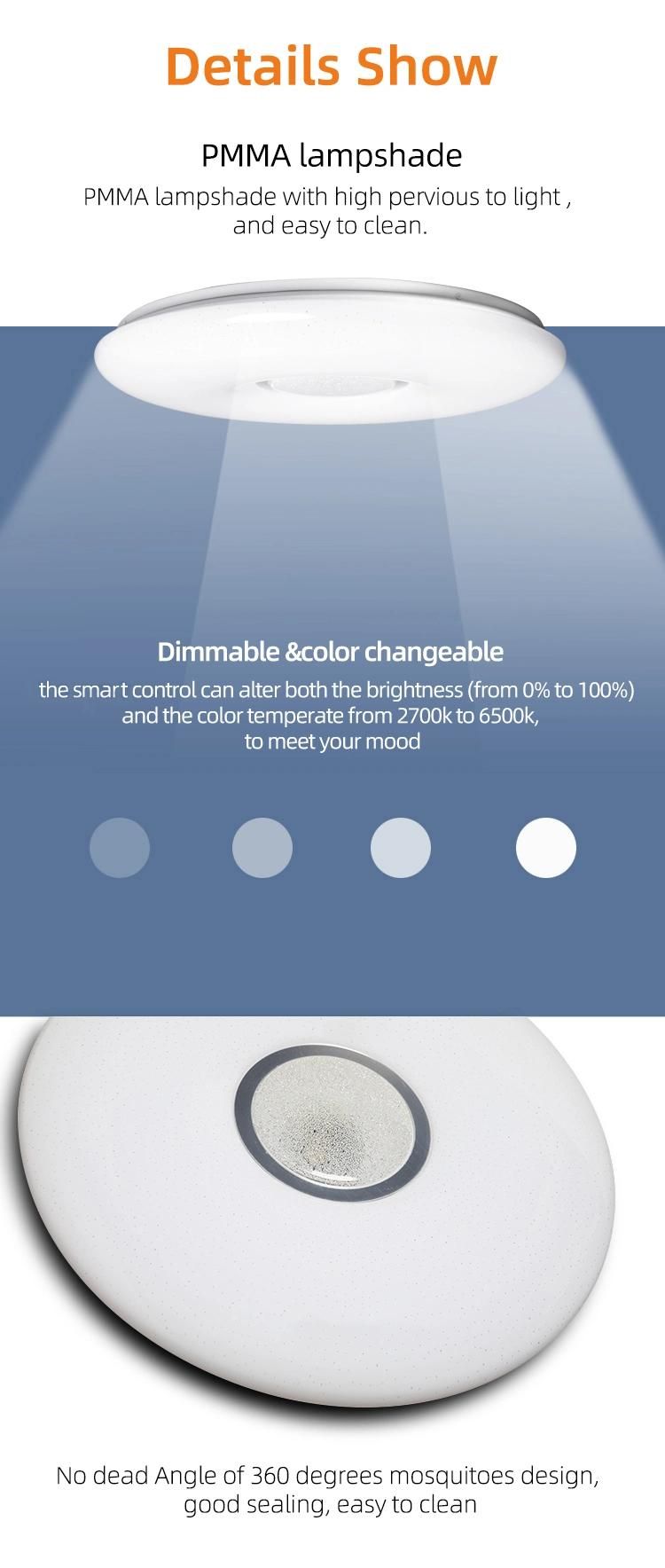 New Indoor IP65 LED Ceiling Lamp Nordic WiFi Ceiling Light