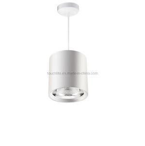 pendant Mounted Cable Length Adjustable LED Downlight
