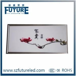 Future 24W LED Ceiling Lamp with CE RoHS Approved (F-J1)