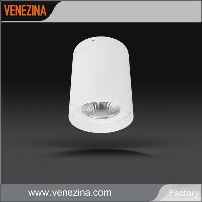 High Watt High Brightness COB LED Mount Ceiling Light 50 Degree Interior LED Ceiling Light