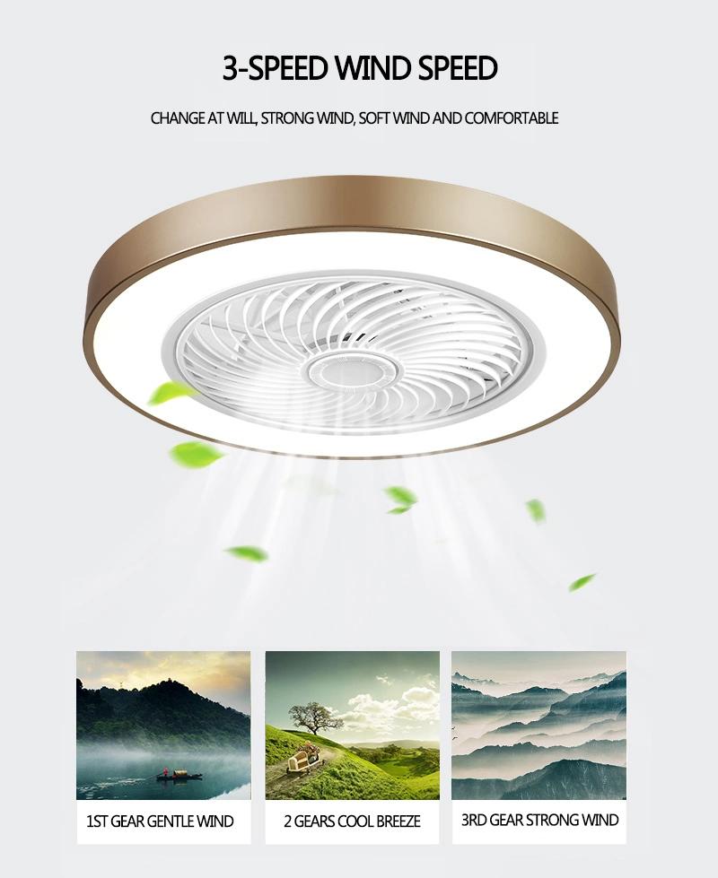 LED Ceiling Fan New Arrival 220V AC Motor Multifunction LED Lighting Fan Ceiling Light