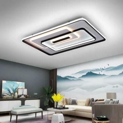 Dafangzhou 250W Light China Cage Ceiling Light Supply Indoor Light Decoration Style Ceiling Lighting for Hotel