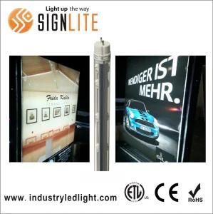 2019 New Design 3FT LED Sign Tube-360 T8 LED Tube Blue for Lighting Box