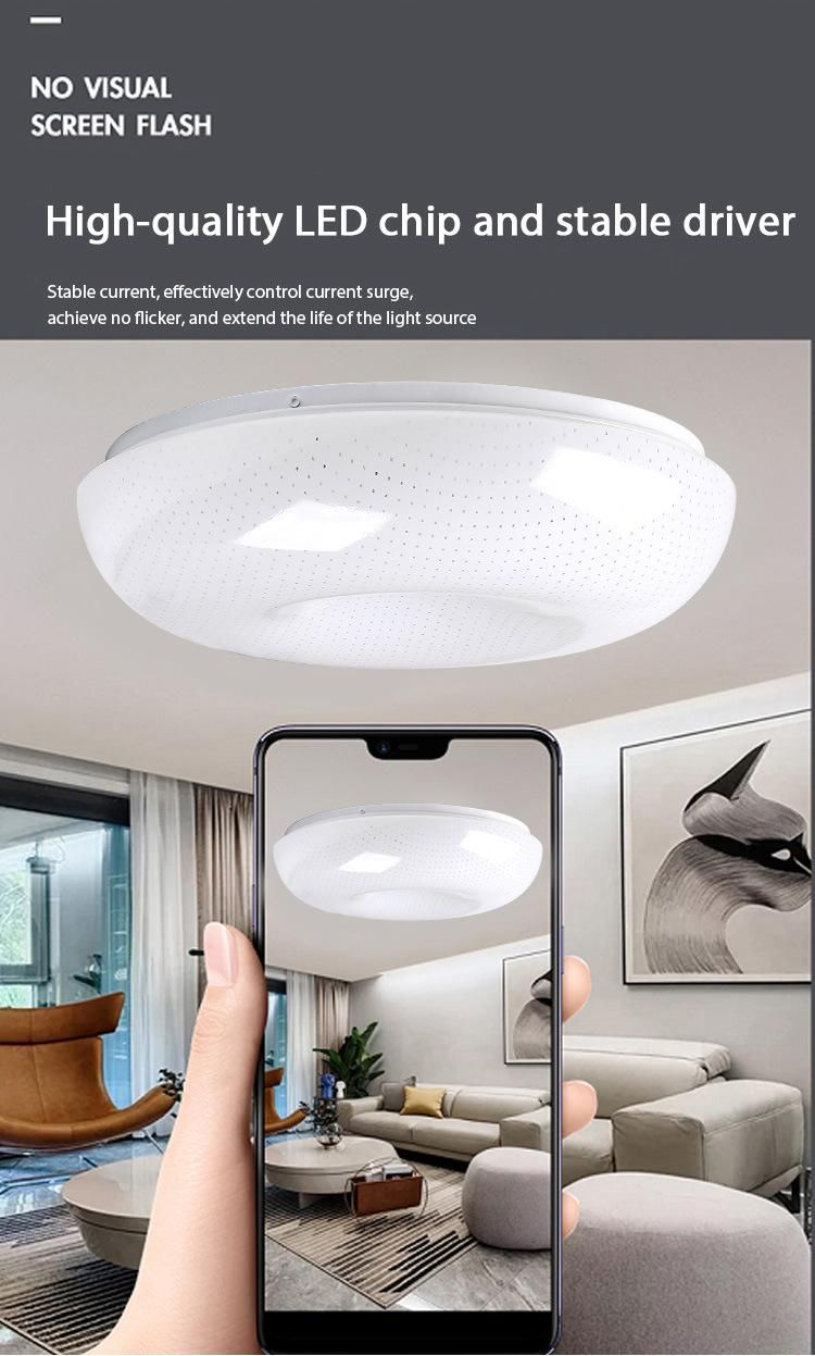 Smart Wifimount Control Vintage Shadeled Ceiling Lamp Battery Rechargeable Ceiling Light