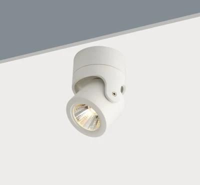 Adjustable Professional Chinese Manufacturer Produced Surface Mounted LED Down Light