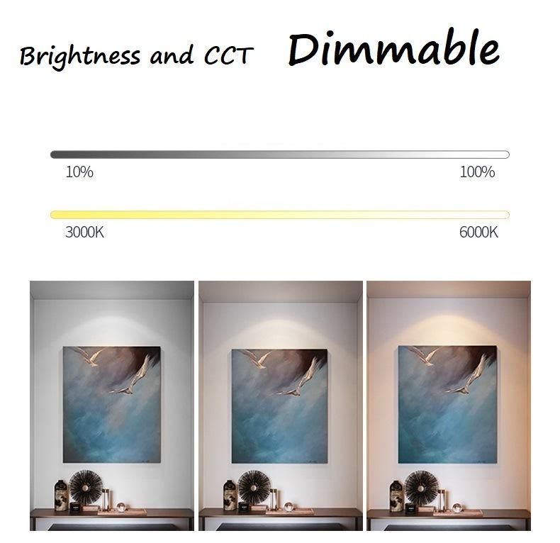 Retrofit Recessed Epistar LED GU10 Spot Lights Trimless COB Ceiling LED Downlight 15/24/36 Degree