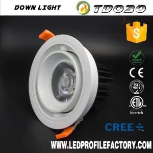 Td030 in Factory Price Trimless Downlight Housing LED Downlight COB