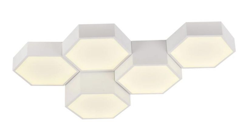 Masivel Lighting Simple Hexagon Design Indoor-Home Decor LED Ceiling Light