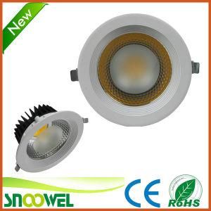 24W High Efficiency COB LED Downlight for Home Furnishing (SW-TDCOB01-24W)