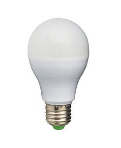 LED Bulb