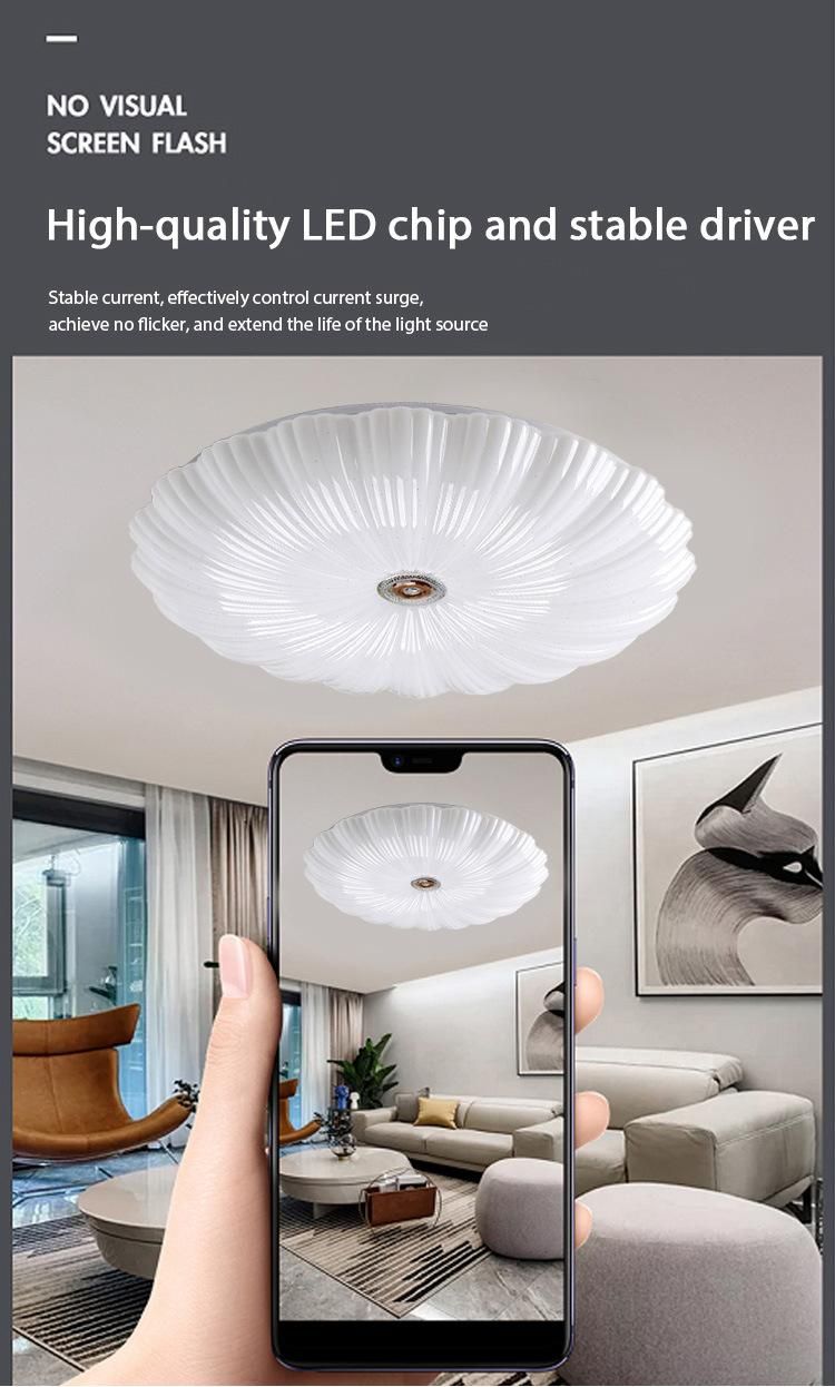 New Surface Bedroom IP65 Dining Nordic Black LED Ceiling Lamp