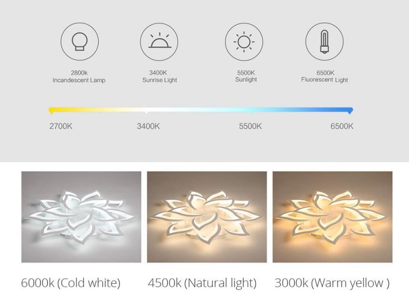 2021 New Modern Style RGB LED Motion White Ceiling Lights