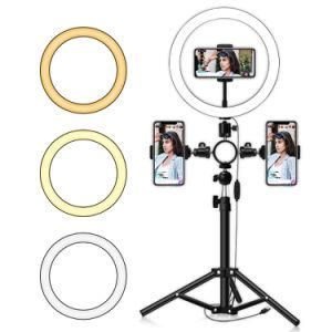 The Most Popular in Europe Ring Light Mirror 3 Light Modes 10 Brightness USB Beauty Selfie Ring Light Makeup