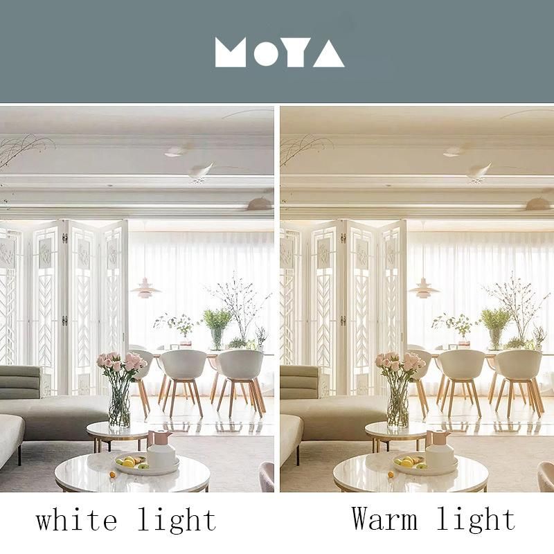LED Black Minimalist Ceiling Lamp Living Room Exhibition Hall Bedside Atmosphere Spotlight