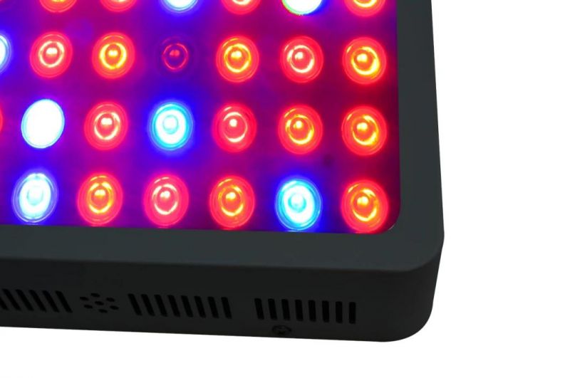 Horticulture Full Spectrum 300W Quantum Board LED Grow Light for Medical Plants