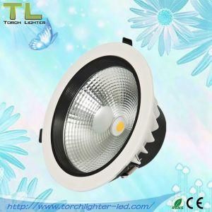 20W COB Round LED Downlight Ceiling Light with CE RoHS