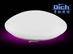 24W Dimmable Easy Installation Super Bright LED Ceiling Light