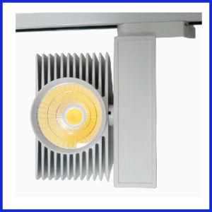 30W Bridgelux COB at 220V CE Drivers LED Track Light (BSTL-8)