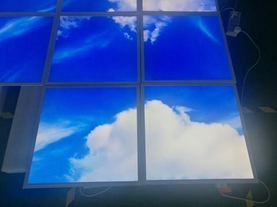 Blue Shy LED Light Beautiful Drawing Print Customized