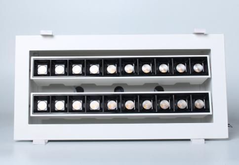China Supplier Double Adjustable COB 10*2W/20*2W/30*2W LED Outdoor/Indoor Downlight Linear Light Panel Light Down Light